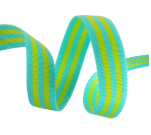 Tula Pink Webbing 2yd x 1in - Aqua And Hot Pink